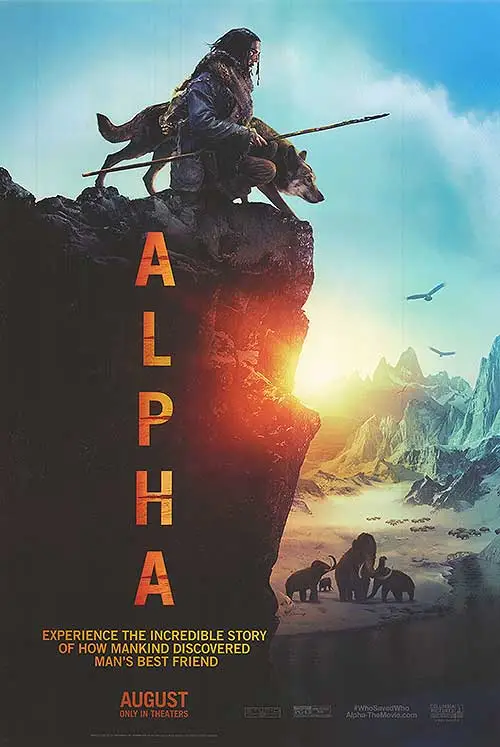 Film afi&scedil;i